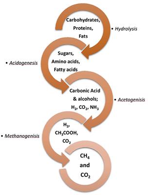 Pretreatment and Multi-Feed Anaerobic Co-digestion of Agro-Industrial Residual Biomass for Improved Biomethanation and Kinetic Analysis